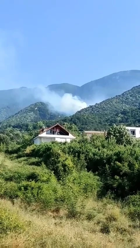 Uludağ’ın eteklerinde orman yangını