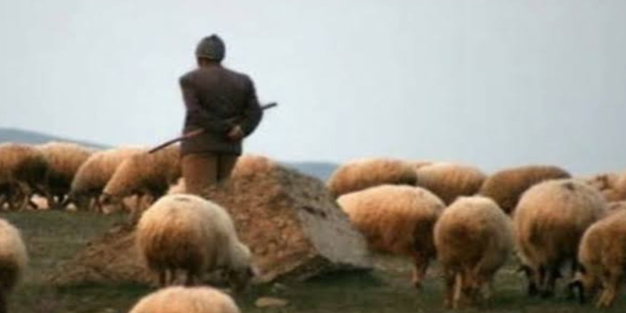 Şanlıurfa’da hayvan otlatma kavgası 1 ölü, 2 yaralı