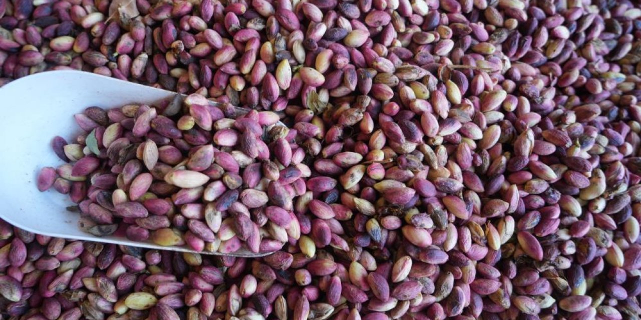 Antep fıstığı tezgahlarda yerini aldı