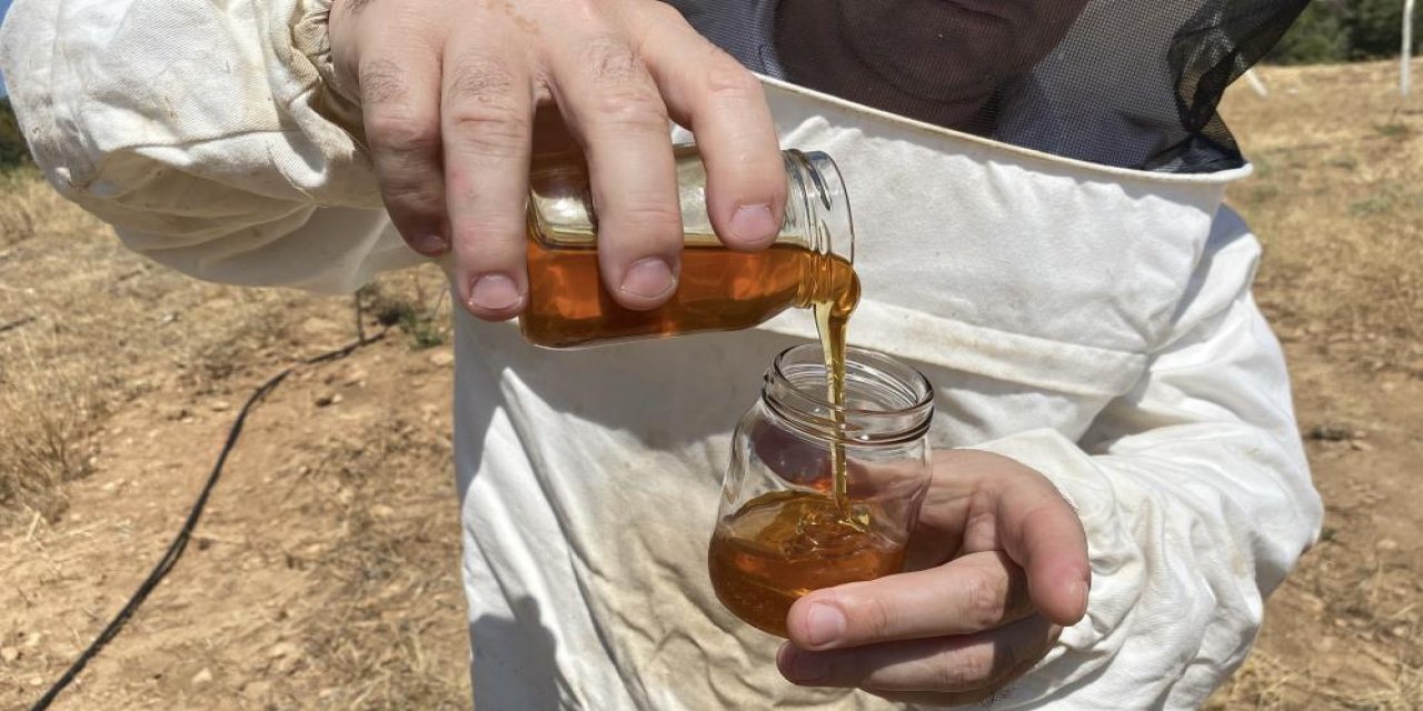 Dünyanın en kaliteli balı Eskişehir’den! Prolin değeri rekor kırdı: 2.925