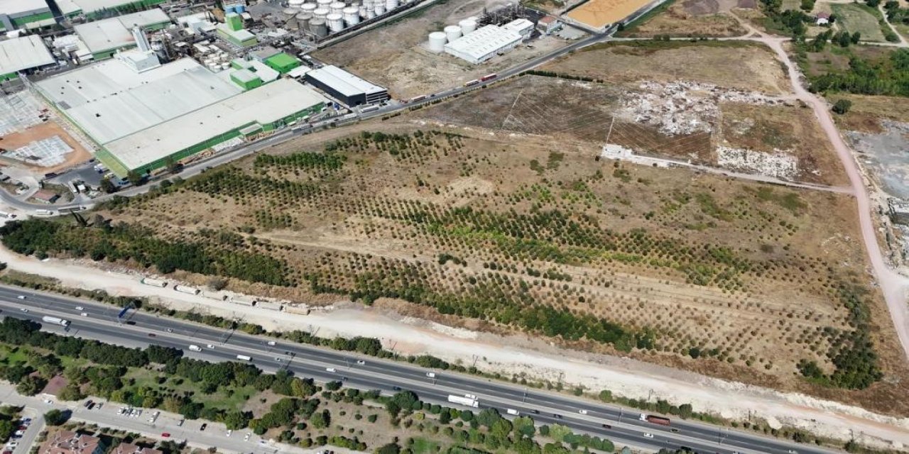 Ağır vasıtalara saat kısıtlaması geliyor