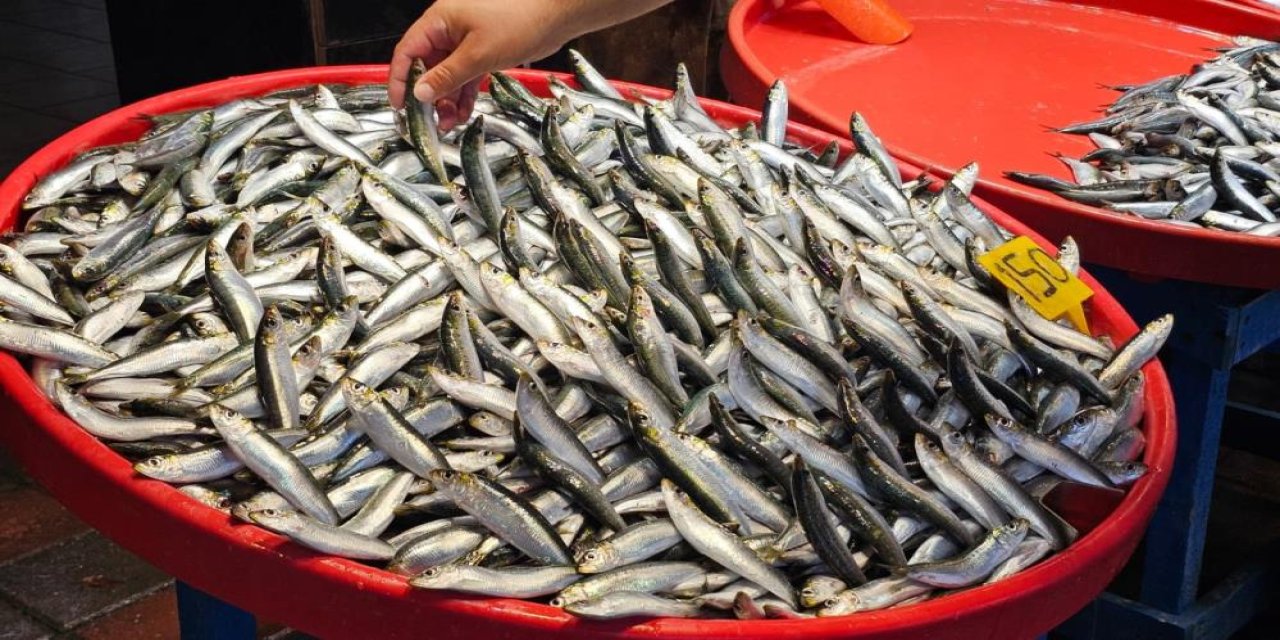 Av yasağı kalktı, balık tezgahları şenlendi