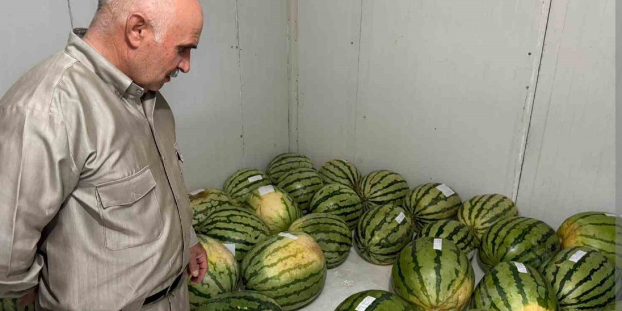 Diyarbakır’da karpuzlar yarışıyor