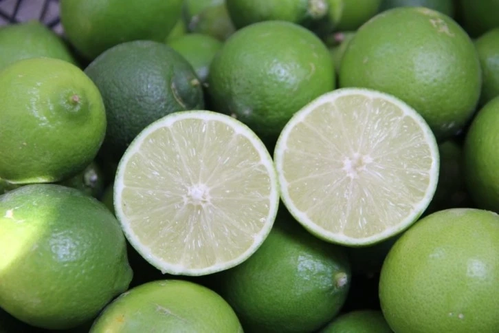 Türkiye’nin ilk 'lime' cinsi limon hasadı Silifke'de yapıldı