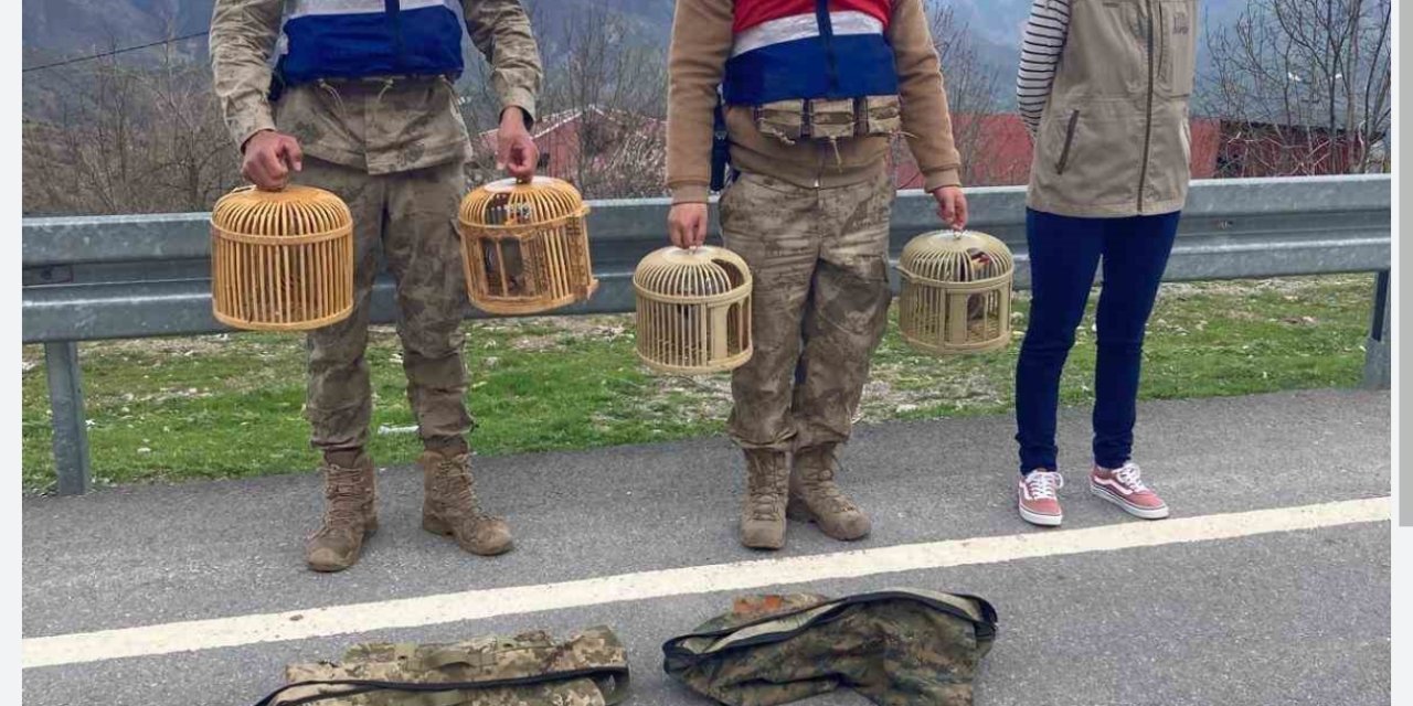 Bitlis’te kaçak keklik avına büyük ceza