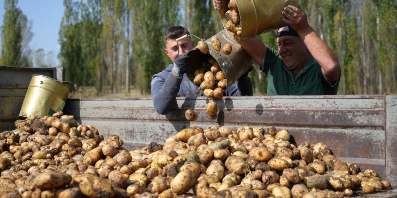 TÜİK Temmuz ayı Tarımsal Girdi Fiyat Endeksi verilerini açıkladı