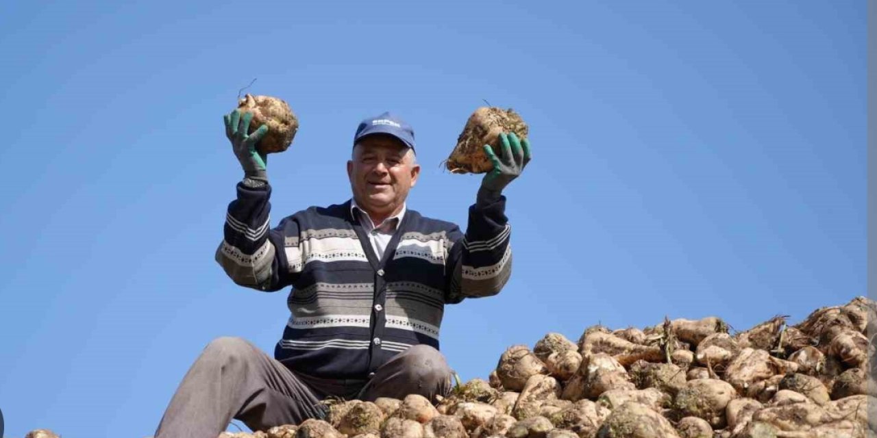 Erzincan’da pancar hasadı başladı