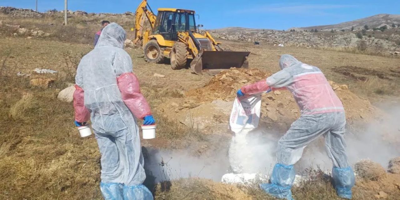 Şarbon hastalığı nedeniyle 6 köye giriş çıkış yasaklandı