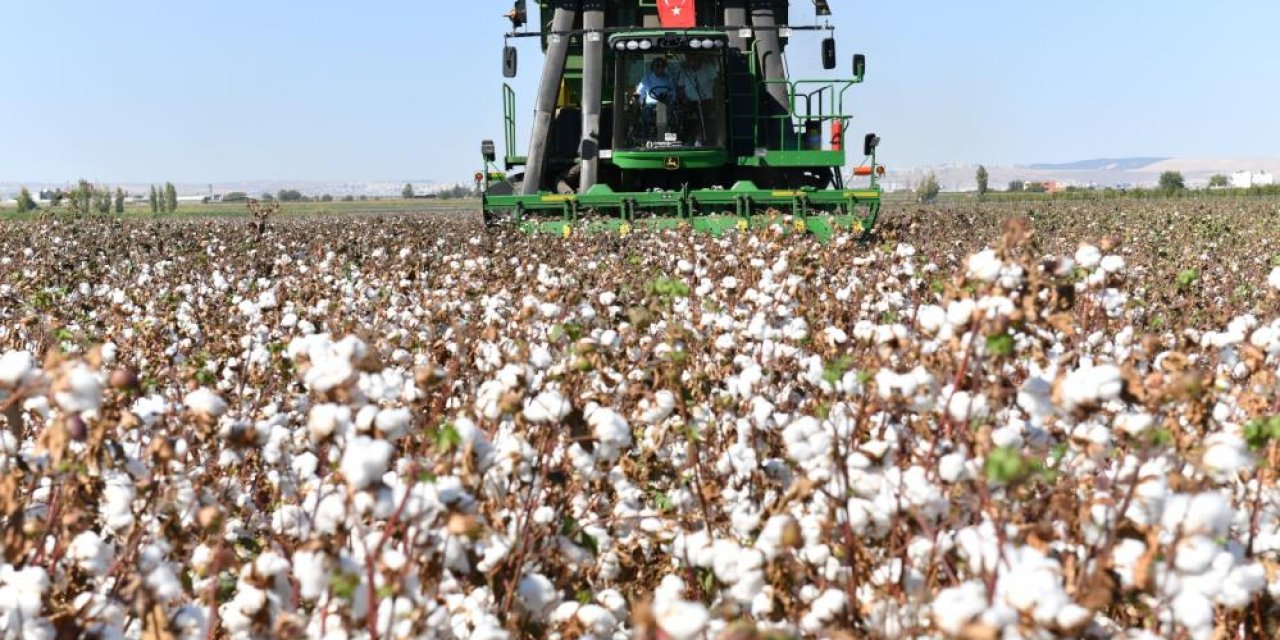 Şanlıurfa’nın beyaz Altını koruma altında