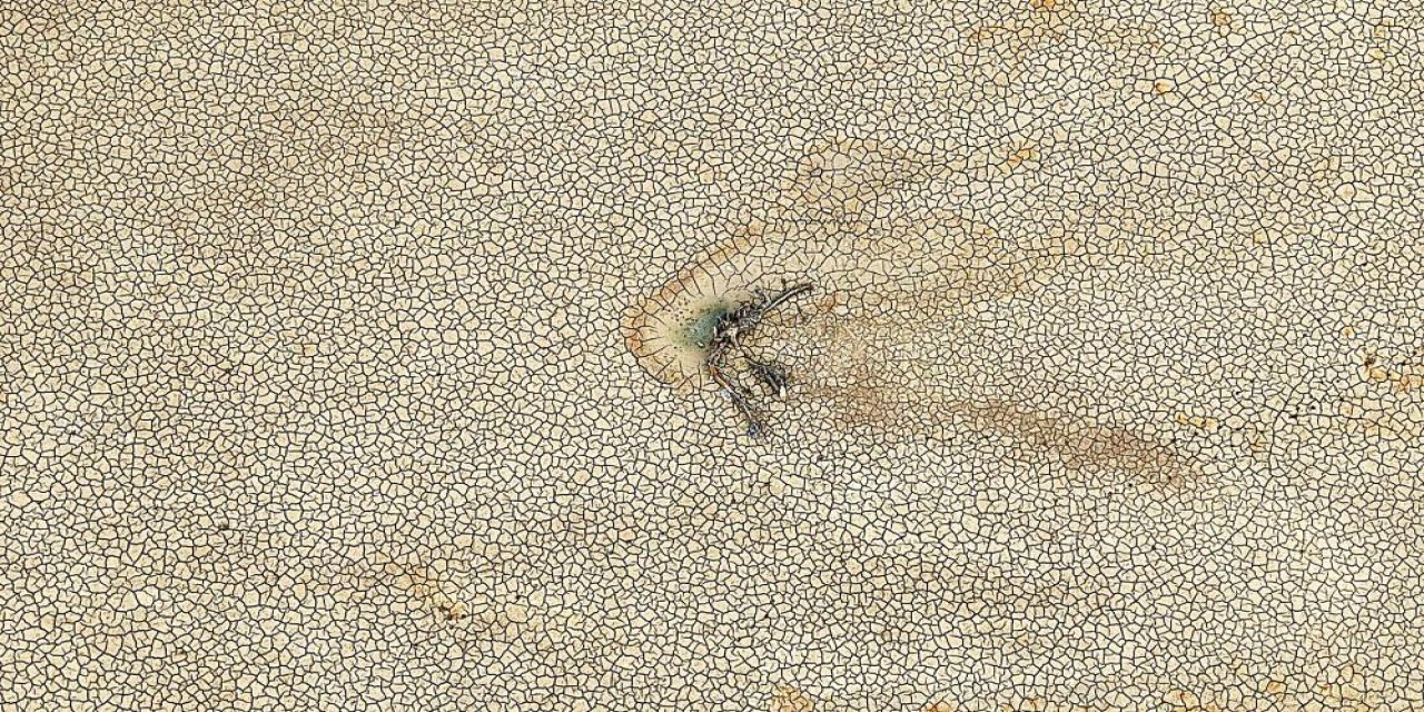 Tarımın kalbi Gölbaşı ve Demirtaş Barajları kurudu