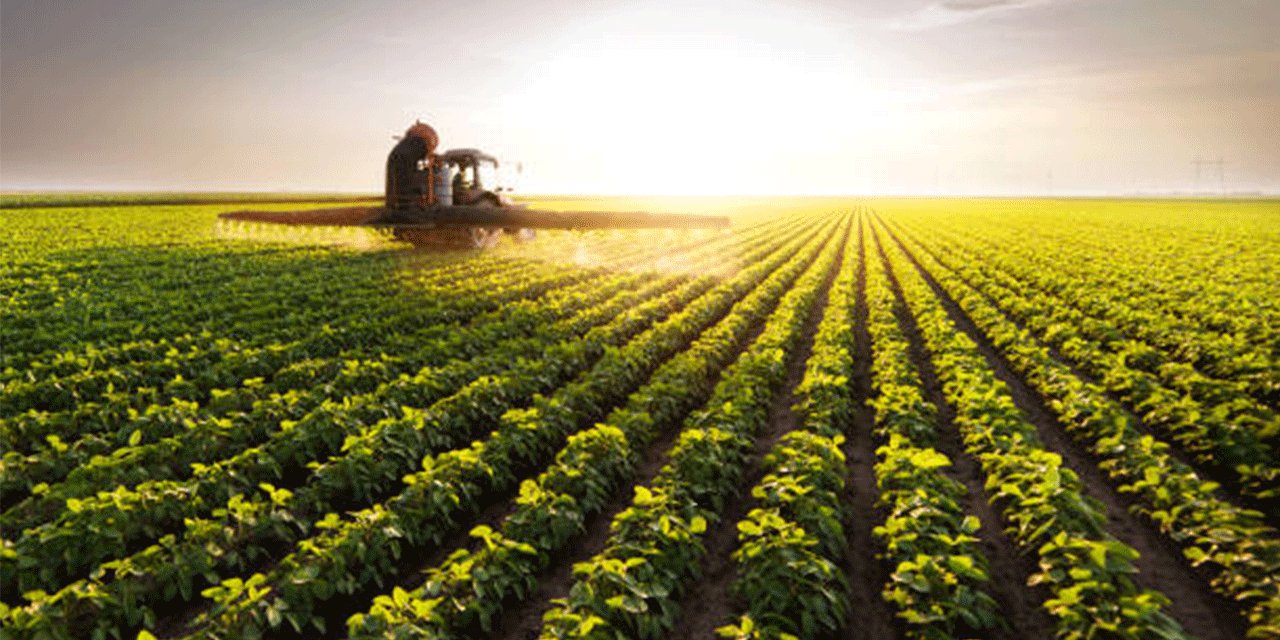 TÜİK , Eylül ayı Tarım Ürünleri Üretici Fiyat Endeksi verilerini paylaştı