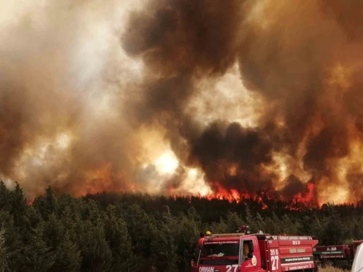 Yangın, İzmir’in iki ilçesinde alevlerle mücadele sürüyor