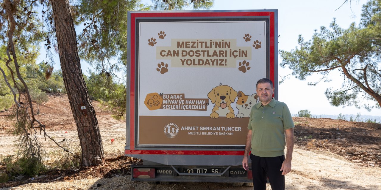 Sokak hayvanlarına şefkat eli: Mezitli’de doğayla iç içe yeni alan