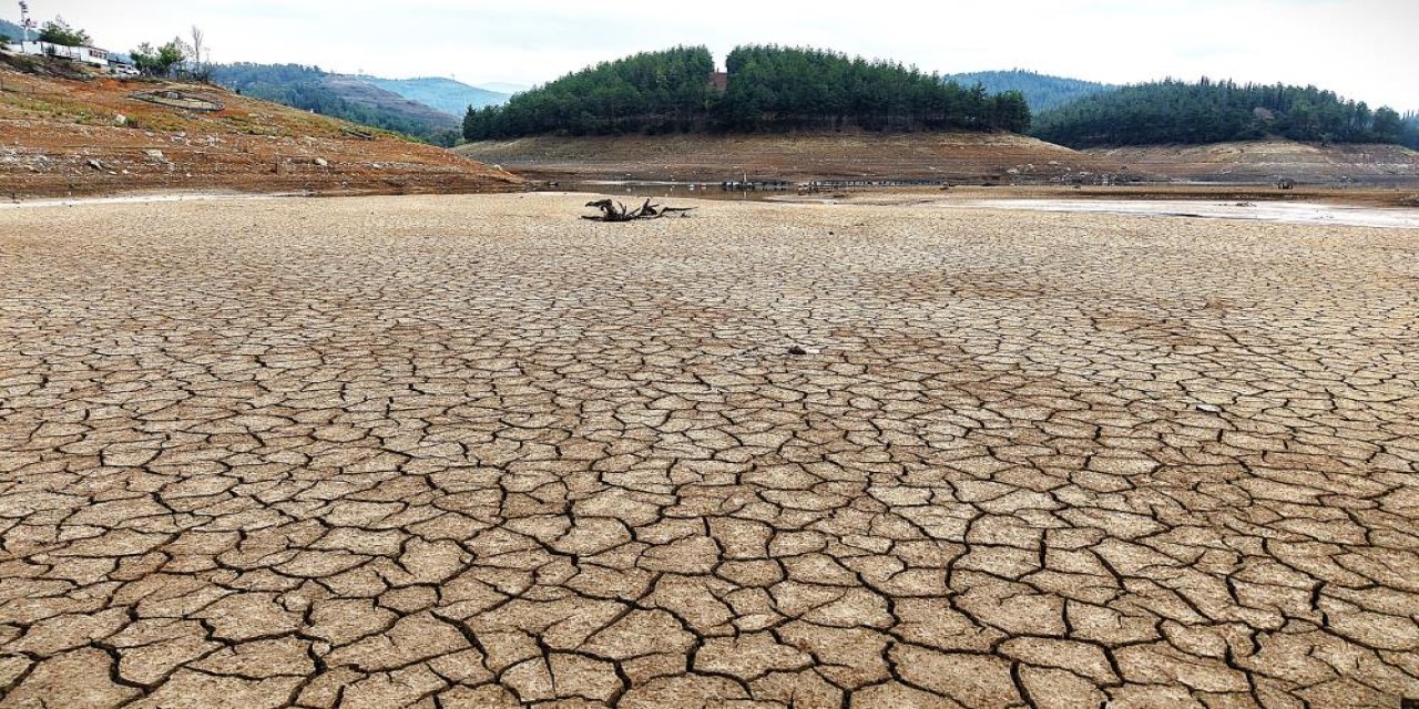 Bursa'da korkulan oldu! 2 barajı kurudu