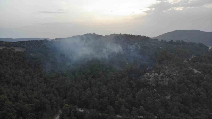 Çanakkale’de orman yangınına havadan müdahale