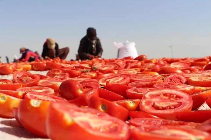 Avrupa’nın pizza sosu Diyarbakır’dan çıkıyor