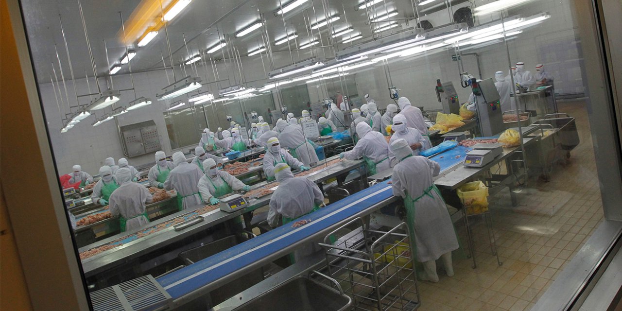 Kuş gribi alarmı: Yaklaşık 460 bin tavuk itlaf edilecek