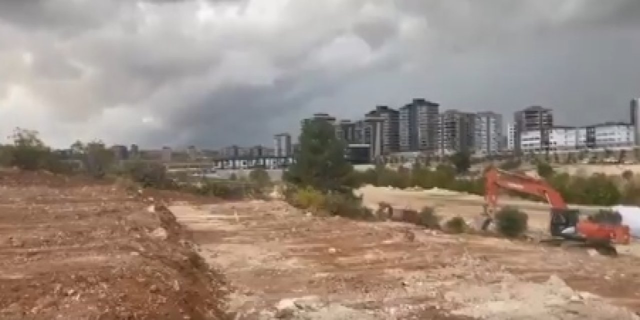 Gaziantep Üniversitesi çevresinde ağaç kesimi tepkisi