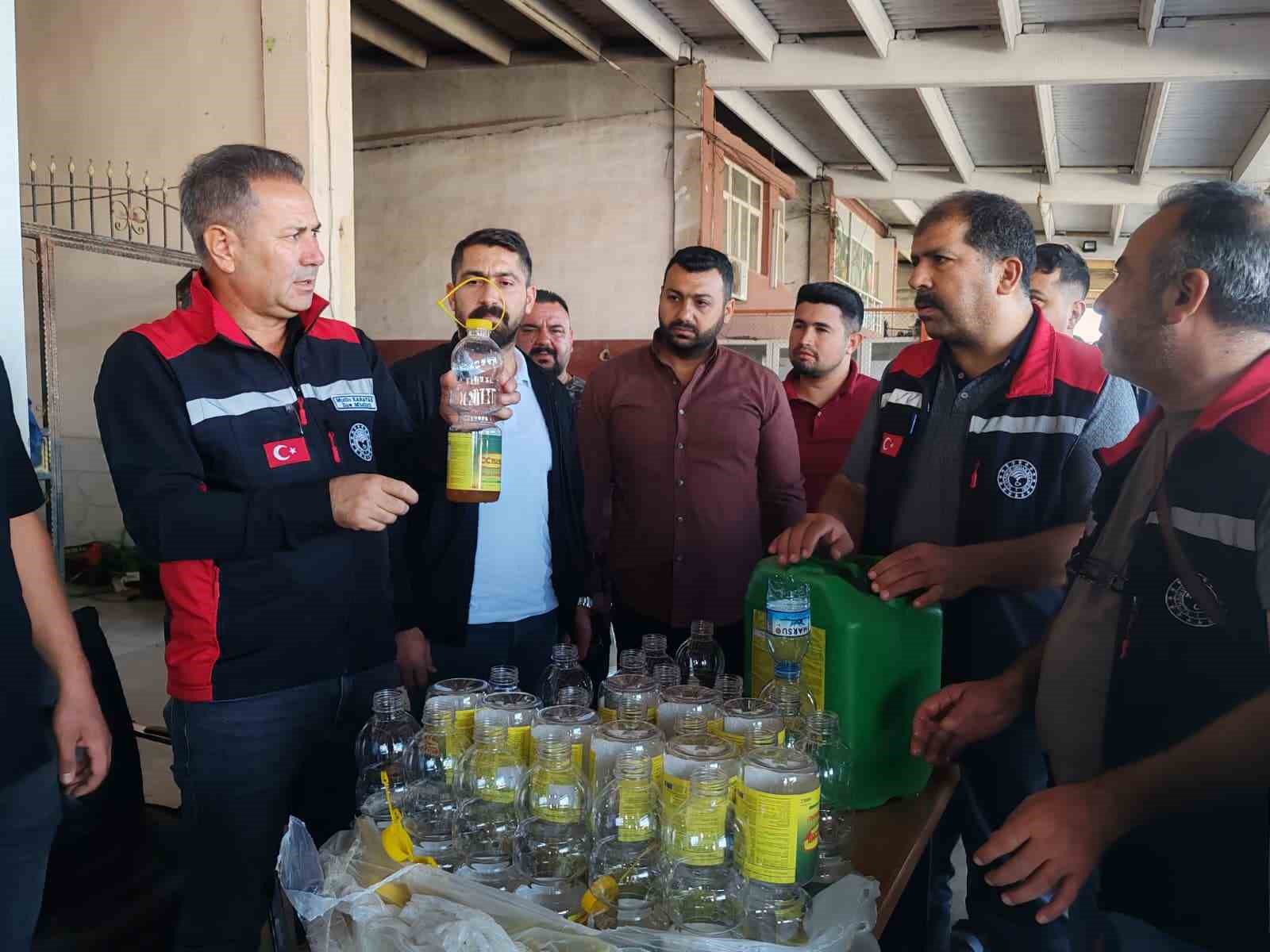 Adana da meyve sineği ile mücadele başladı