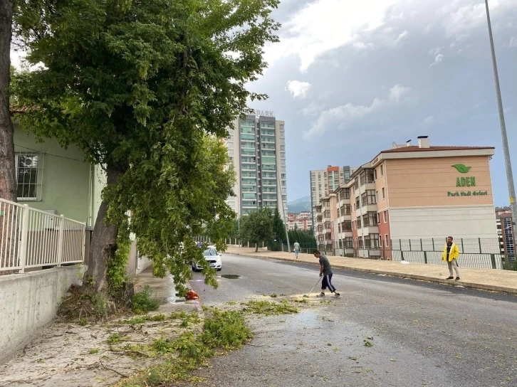 Karabük'te rüzgar ağaçları devirdi, yıldırım düşmesi böyle görüntülendi