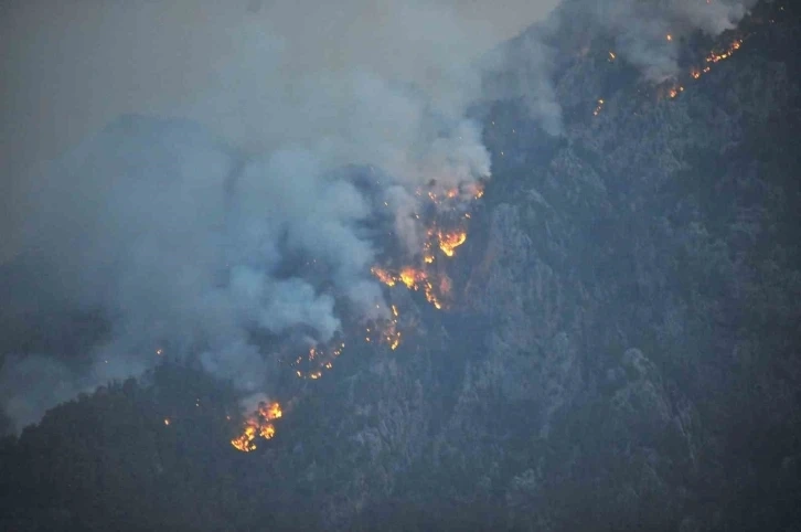 Antalya'da  devam eden orman yangınına karadan ve havadan söndürme çalışmaları sürüyor