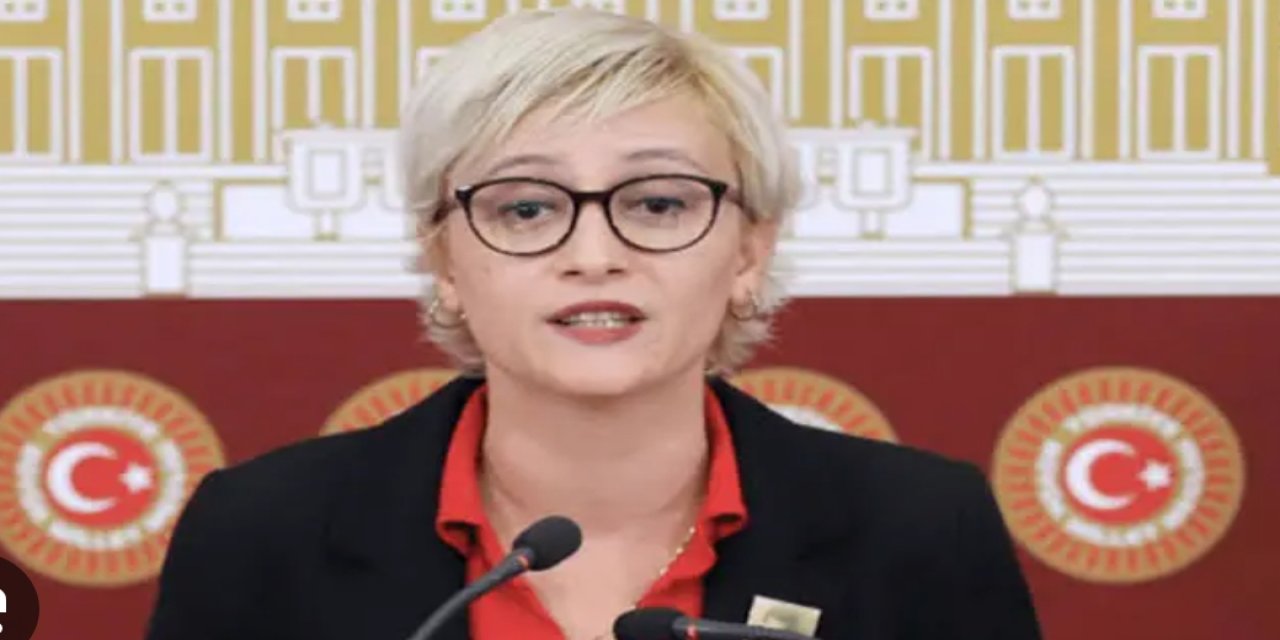 Milletvekili Koca: Köylülerin taş ocağı feryadını meclise taşıdı