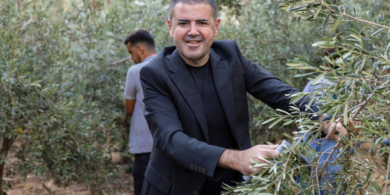 Mezitli Belediyesi'nin zeytin hasadı, kız çocuklarının eğitimi için burs oluyor