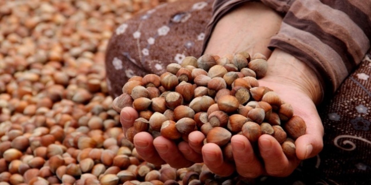 Ferrero’nun “Bekle-Gör” oyunu fındık üreticisini fena çarptı