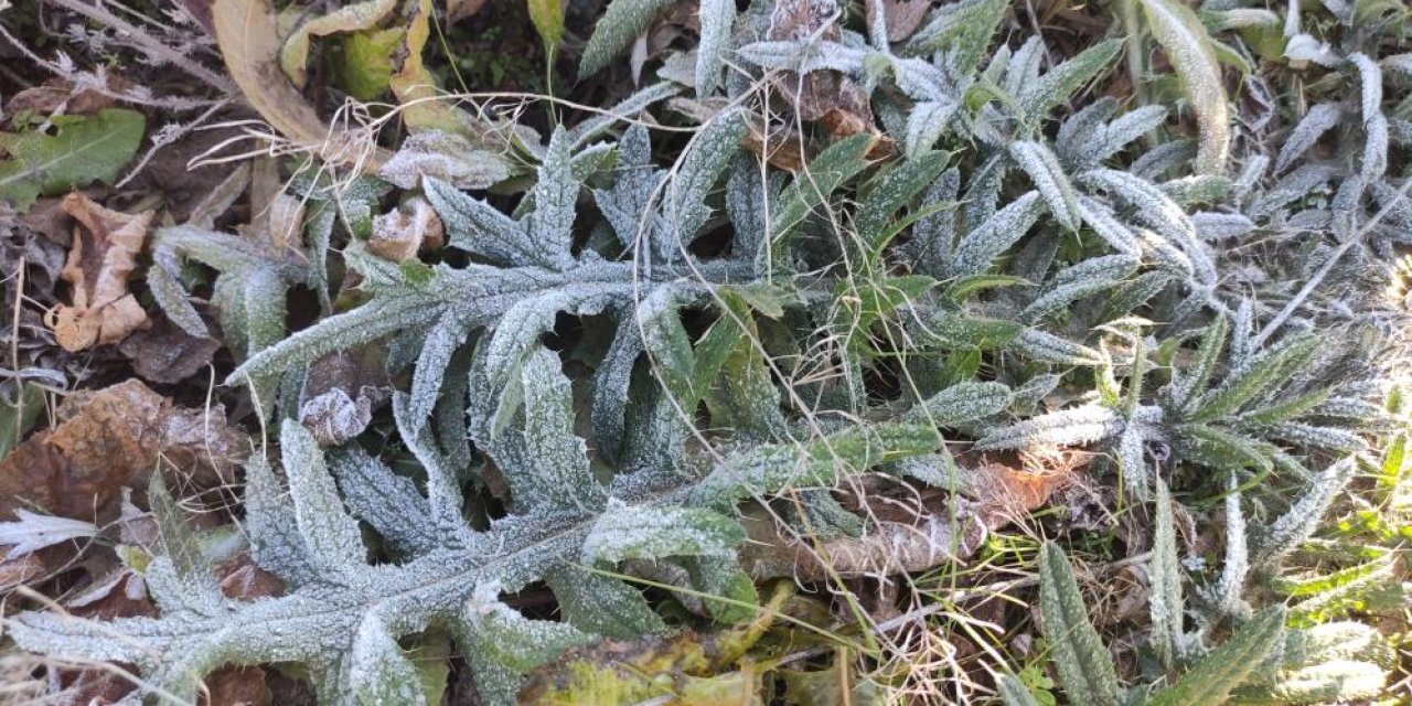 Türkiye'nin en soğuk yerleşim yeri belli oldu