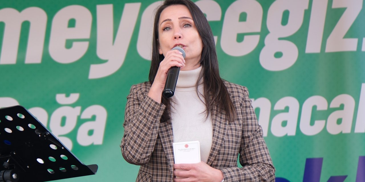 DEM Partili Hatimoğulları: Barışta ısrarcı olmaya devam edeceğiz