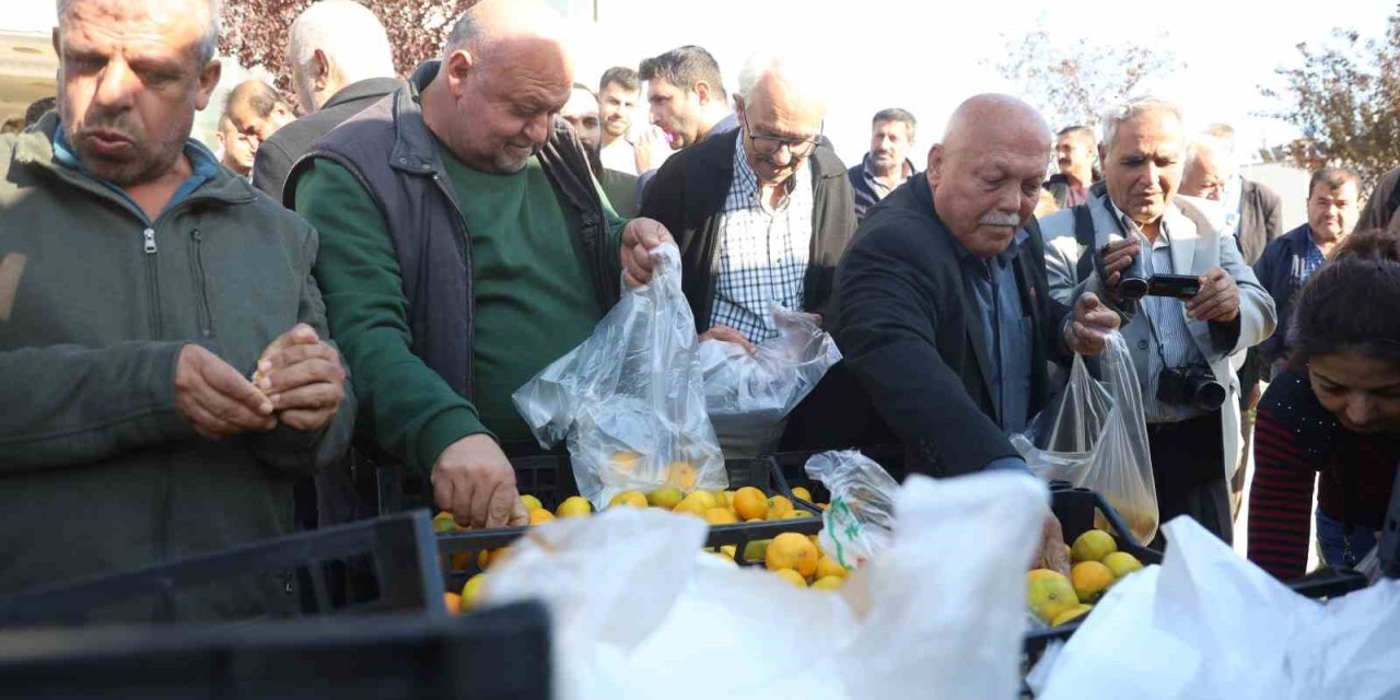 Para etmeyince tonlarca Mandalin ücretsiz dağıtıldı