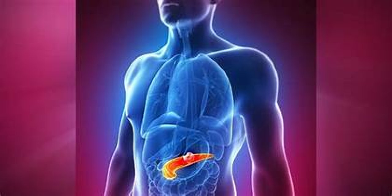 Görünmez tehlike: Pan­kreas Kanseri çoğu zaman belirtisiz başlıyor