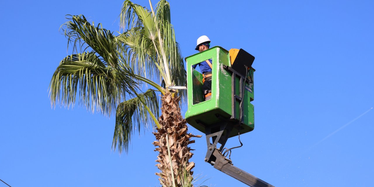 Toroslar'da yeşil alanlar daha güvenli ve daha estetik