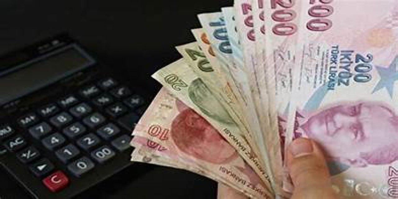 OECD'den Emekliye çifte maaş uyarısı!