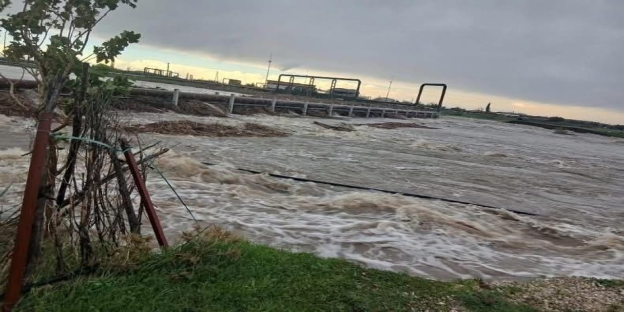 Aşırı yağış nedeniyle Tuzla Çayı taştı, tarım arazileri sular altında kaldı
