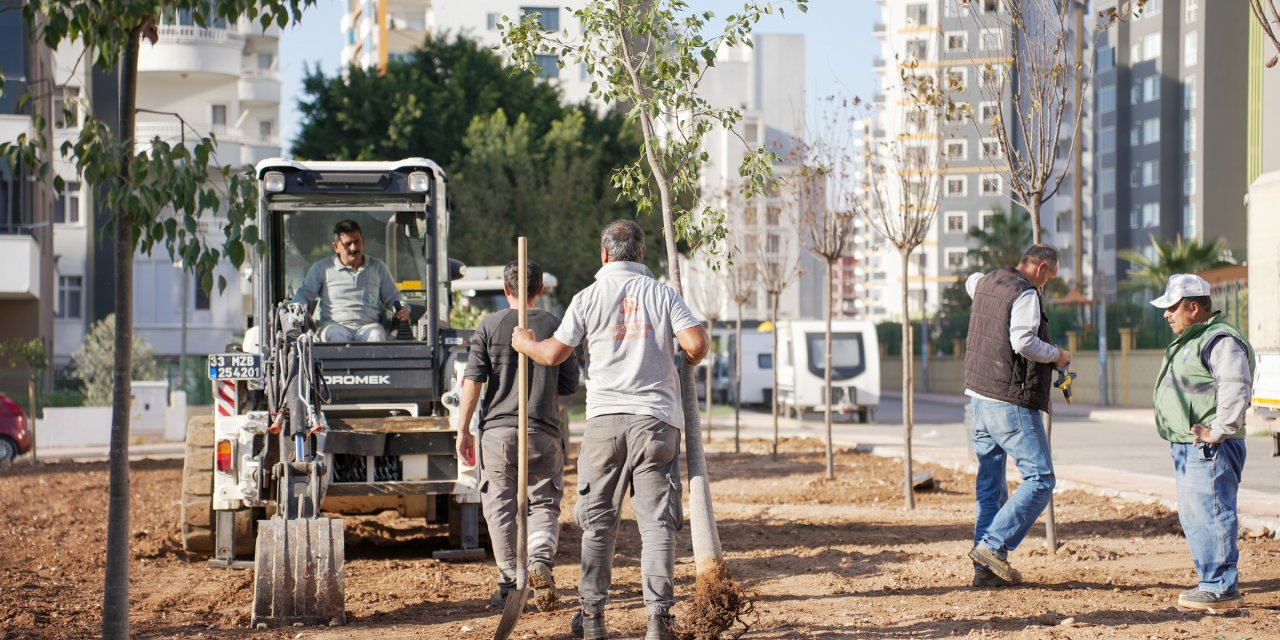 Mezitli'de ağaçlandırma çalışmaları aralıksız sürüyor