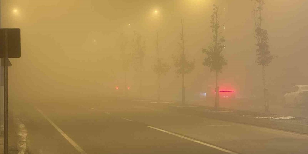 Sivas yoğun sise gömüldü