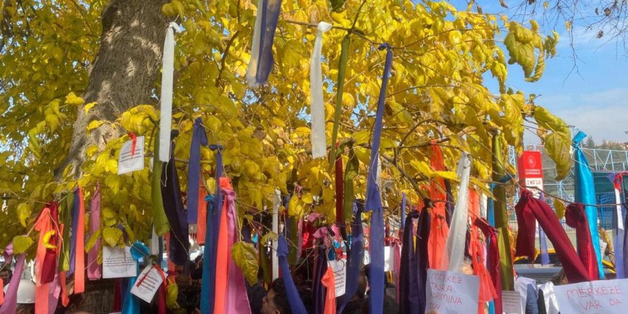 Memurlar Bakanlık önündeki Ağacı taleplerle ‘Dilek Ağacı’na dönüştürdü
