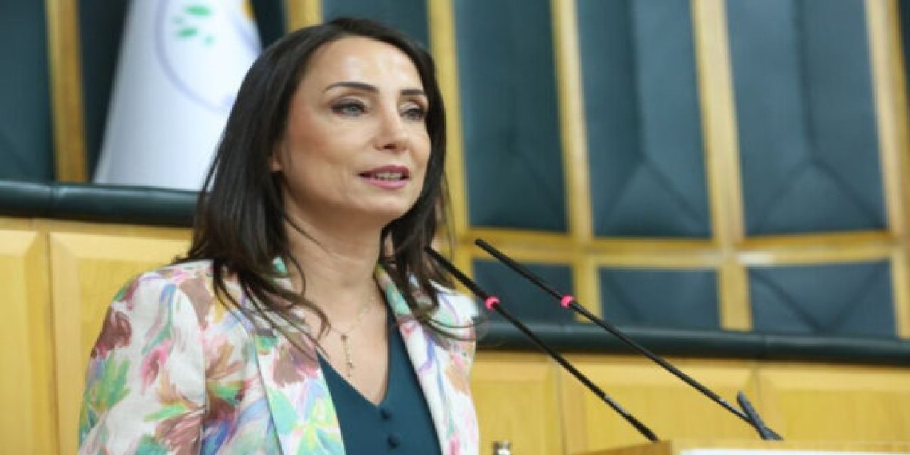 DEM Parti’den bütçe resti: Bütçeye hayır oyu vereceğiz