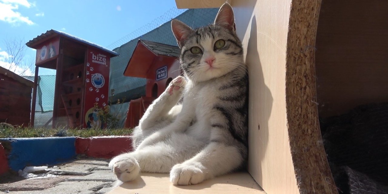 Son gün 31 Aralık, taktırmayana ceza