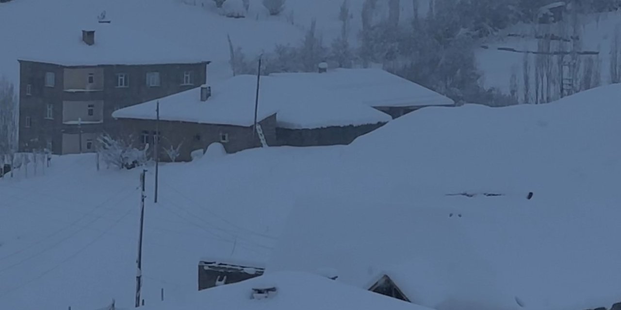 Yüksekova kar altında kaldı