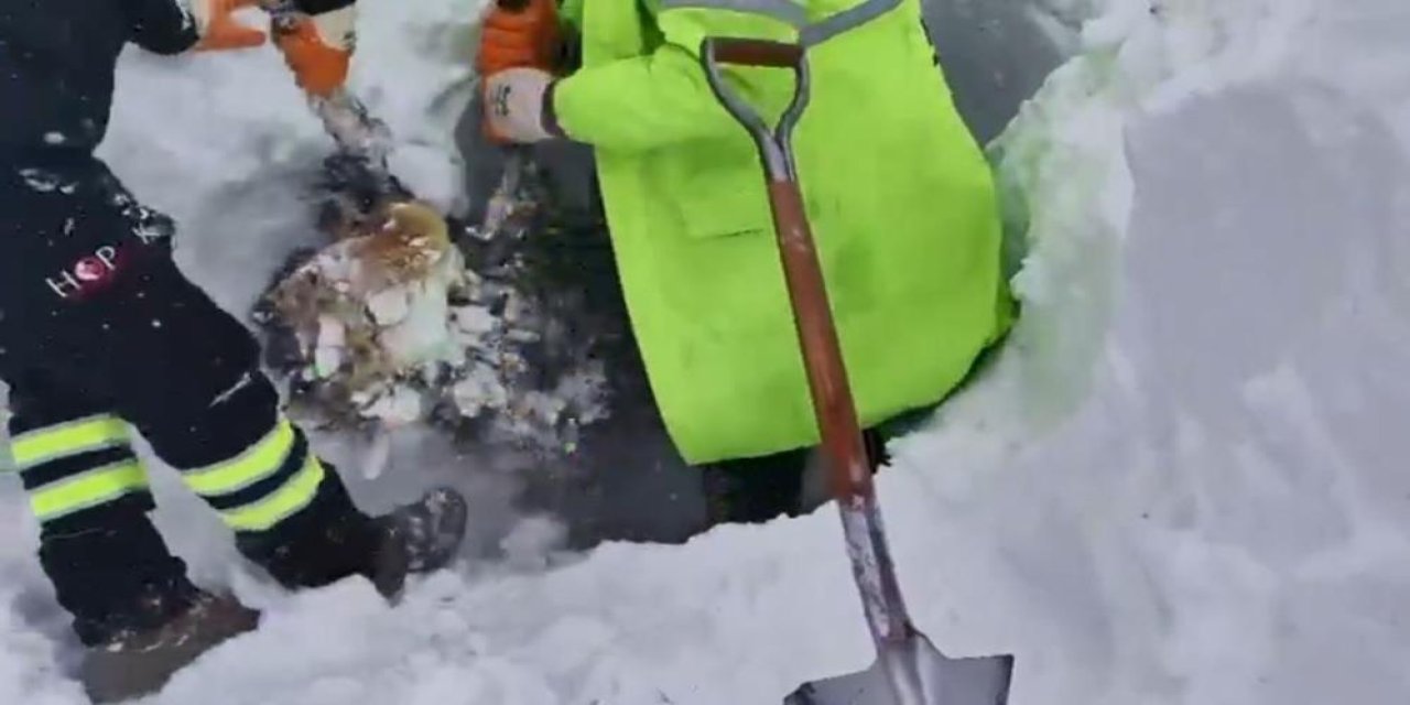 Artvin'de çığ altında kalan 3 çobandan birinin cansız bedenine ulaşıldı