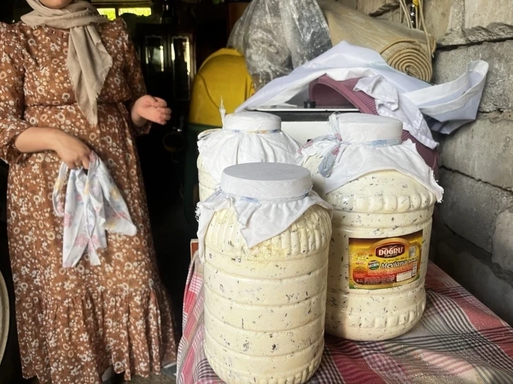 Ağrı'da ilginç yöntem, doğal yollarla üretilen Peynirler kışa hazırlık için toprağa gömülüyor