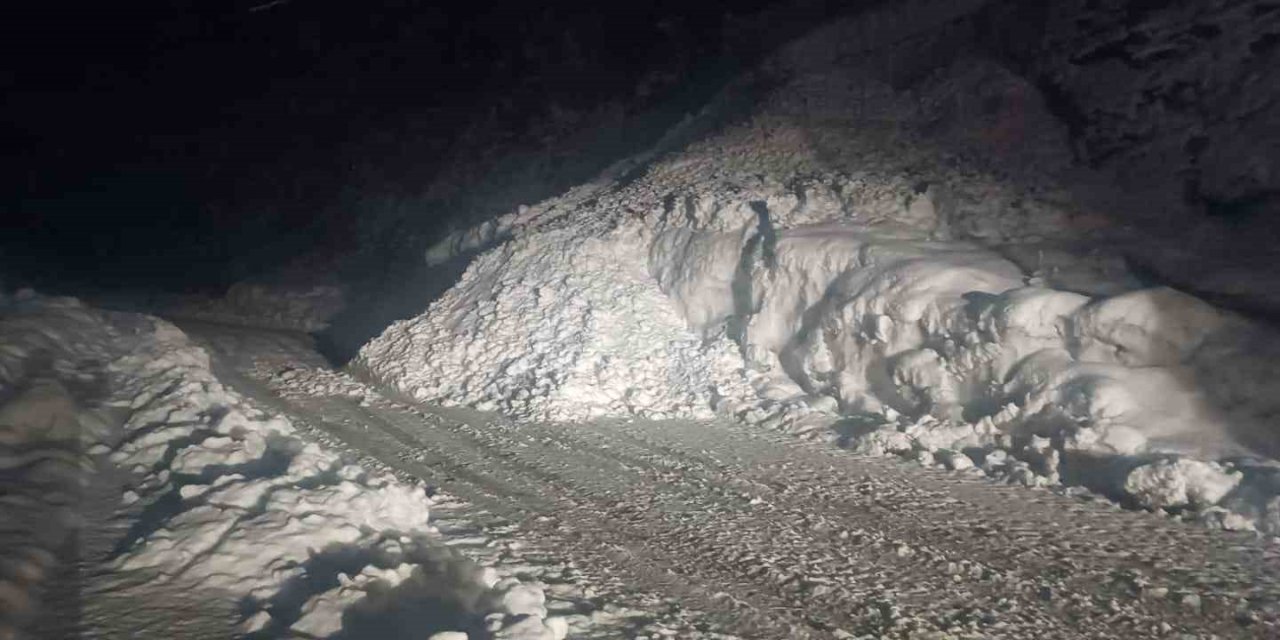 Şırnak yoluna çığ düştü, ulaşıma kapandı