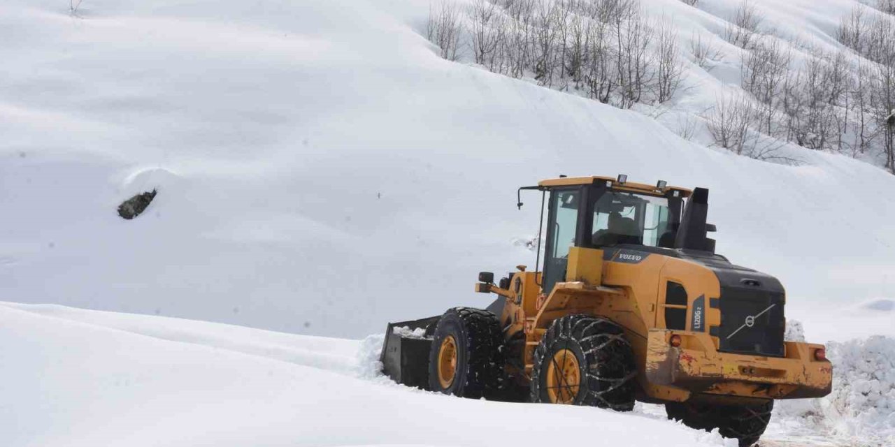 Bitlis’te karla mücadele çalışması aralıksız sürüyor