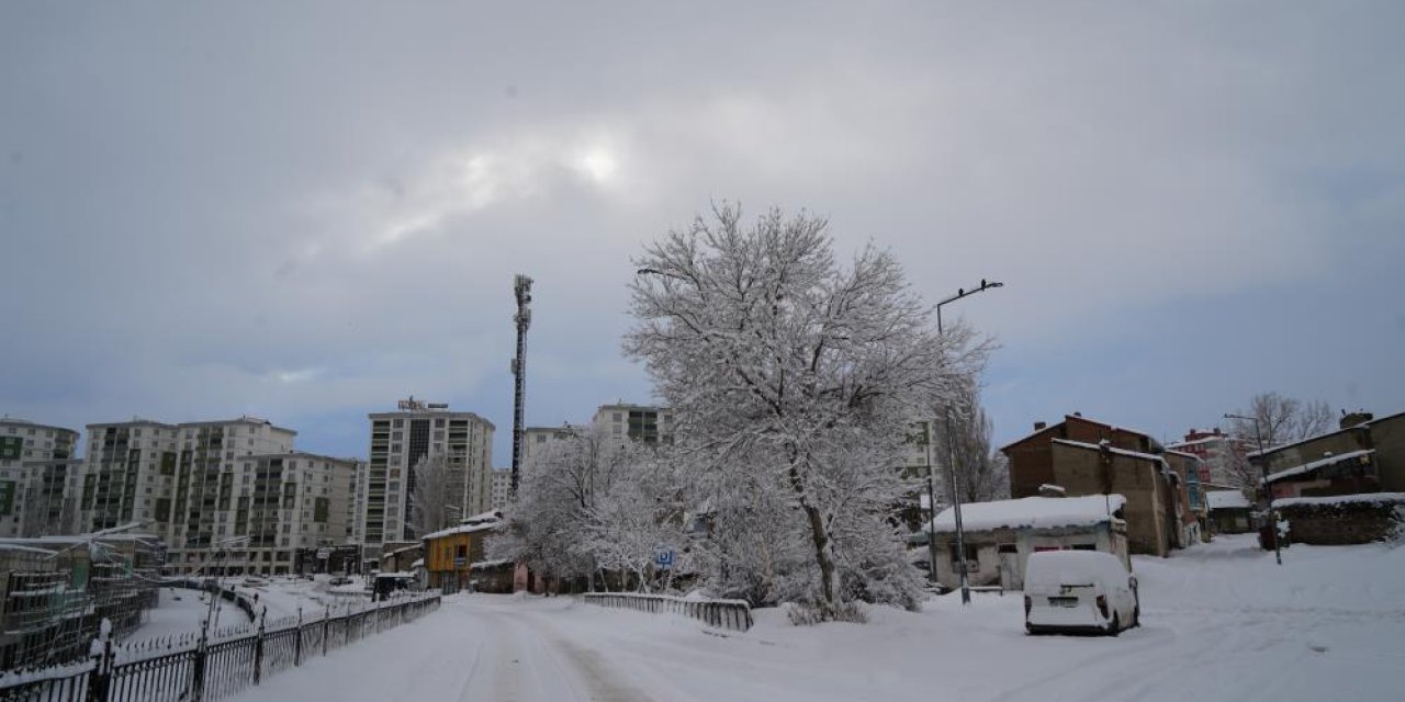 Erzurum yine beyaza büründü: yüzlerce köy yolu ulaşıma kapandı