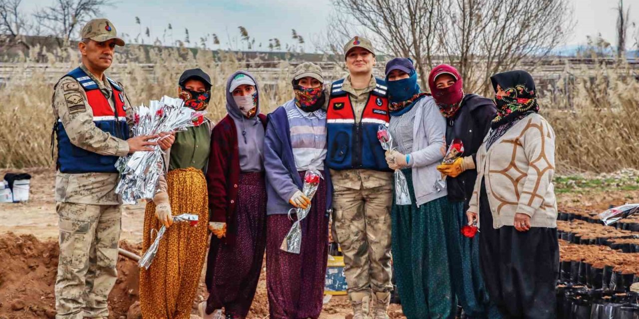 Jandarmadan kadınlara karanfil hediyesi