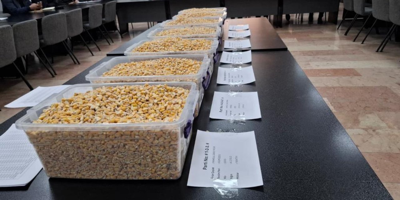 Gaziantep Ticaret Borsası’nda 13 bin 500  ton mısır satıldı