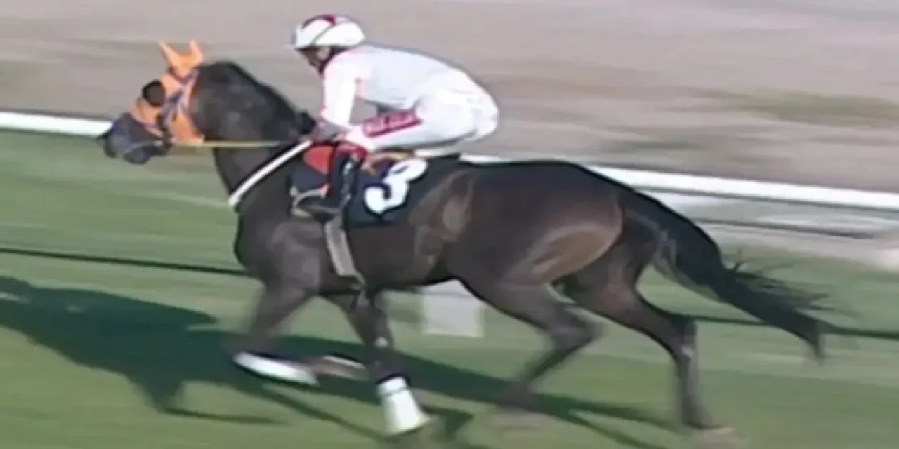 Mersin’de skandal: Belediyenin Aşevi yemeğinde at eti iddiası