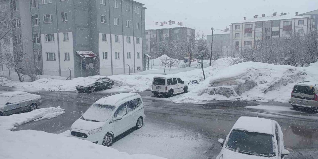 Kar yağışı Bitlis'i beyaza bürüdü